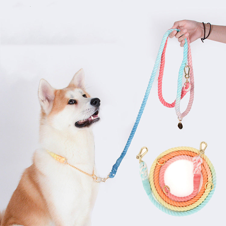 Rainbow Gradient Pet Traction Rope Leash
