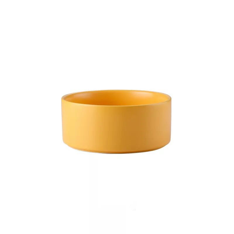 Metal Frame Ceramic Pet Feeding Bowl Stand