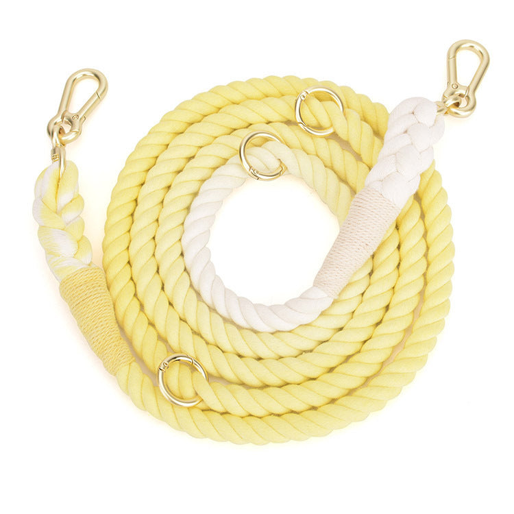 Rainbow Gradient Pet Traction Rope Leash
