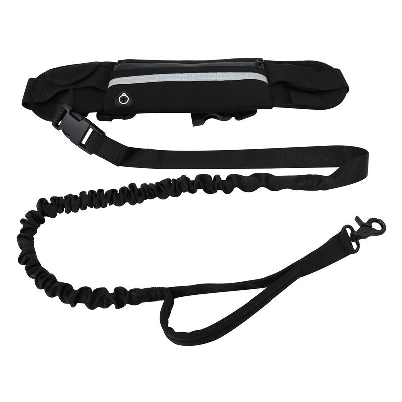 Pet Purse Style Leash Walking