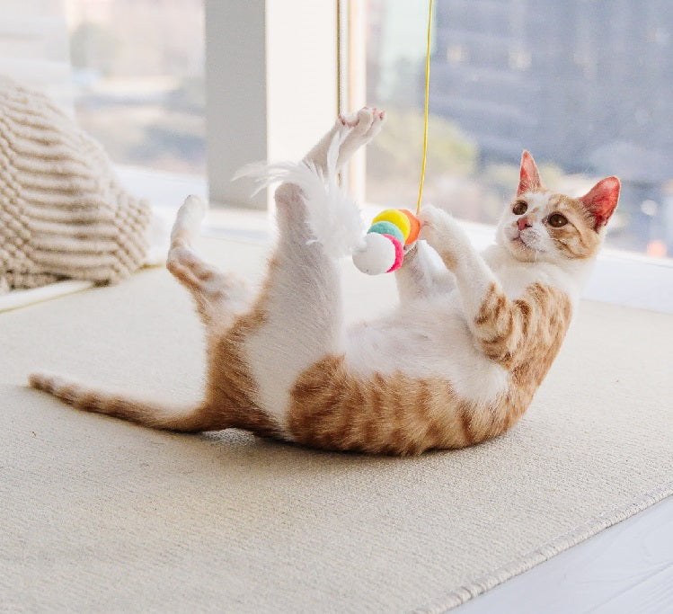 Toys Simulated Cute Toys Funny Self-hey Interactive