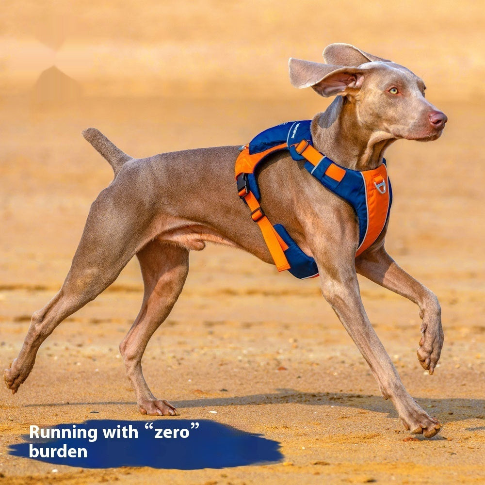 Vest Style Pet Chest Harness With Hand Rope