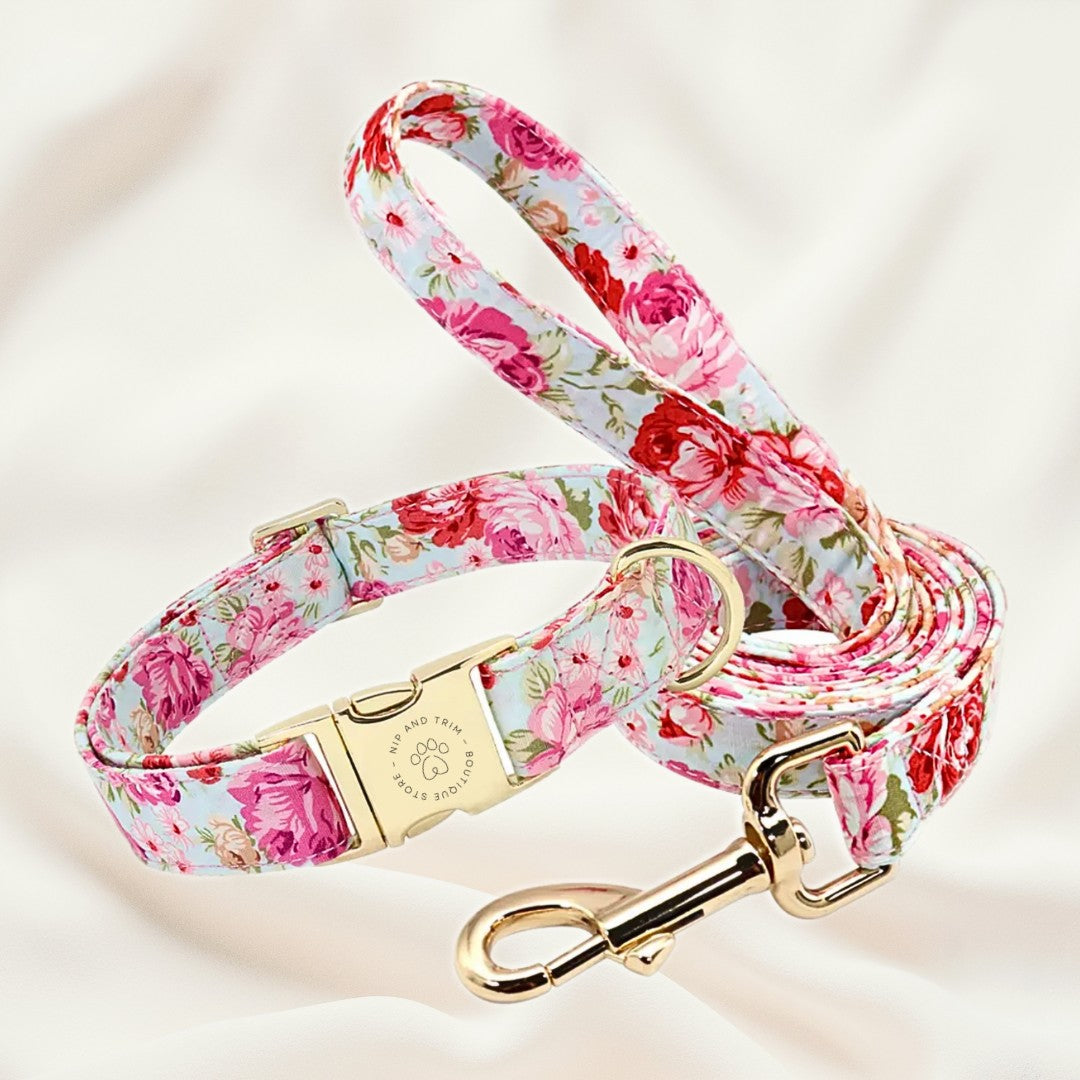 Custom Pet Collar With Engraved Identity Name Tag Card
