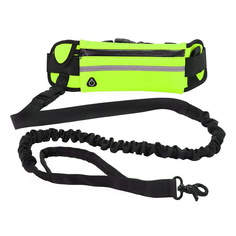 Pet Purse Style Leash Walking