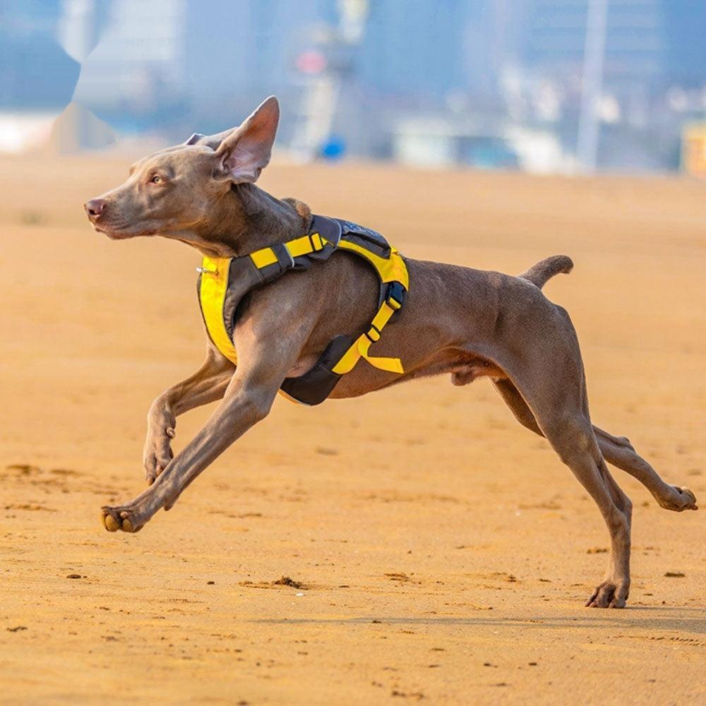 Vest Style Pet Chest Harness With Hand Rope