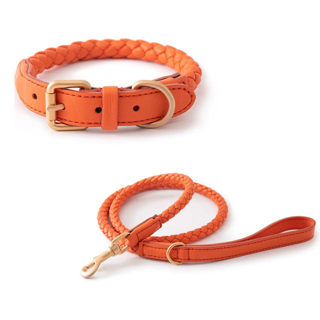 Premium Sturdy Large Pet Collar