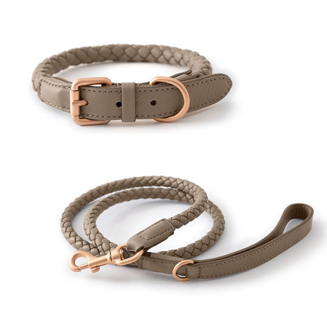 Premium Sturdy Large Pet Collar