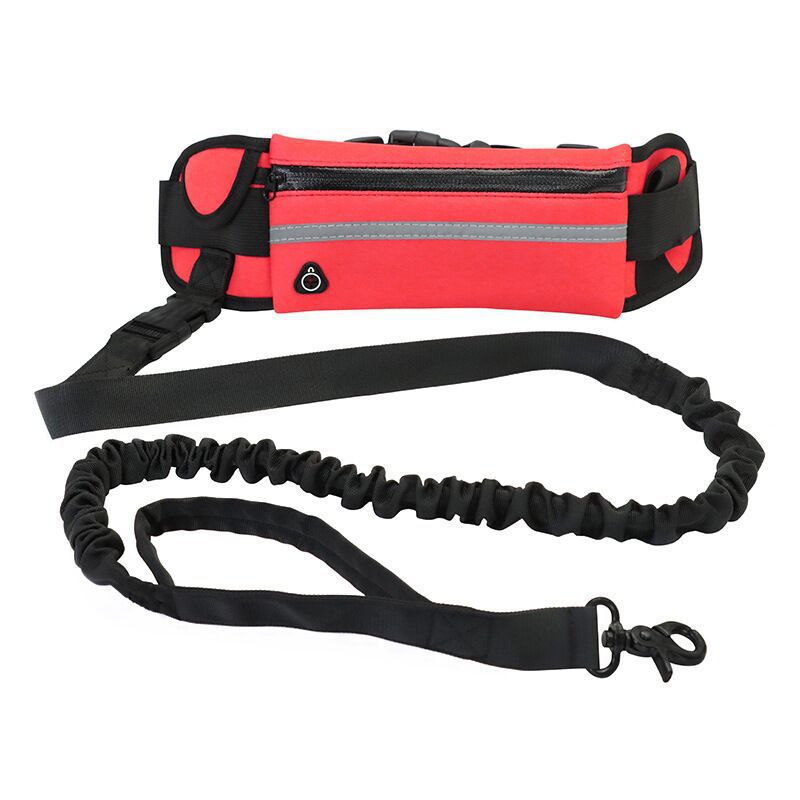 Pet Purse Style Leash Walking