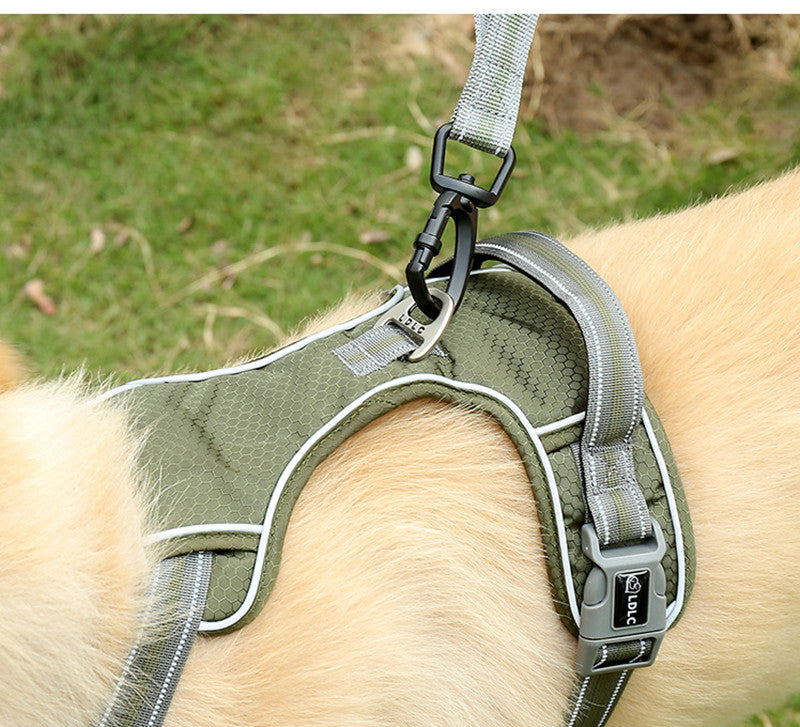 Fluorescent Elastic Retractable Anti Burst Pet Leash
