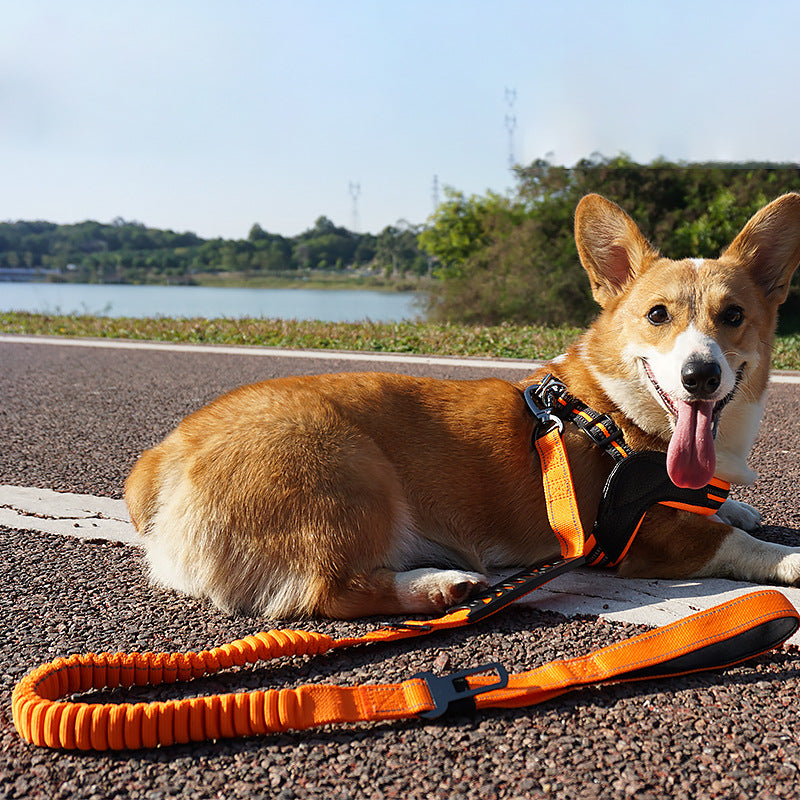 Retractable Reflective Pet Handheld Traction Rope With Buffer