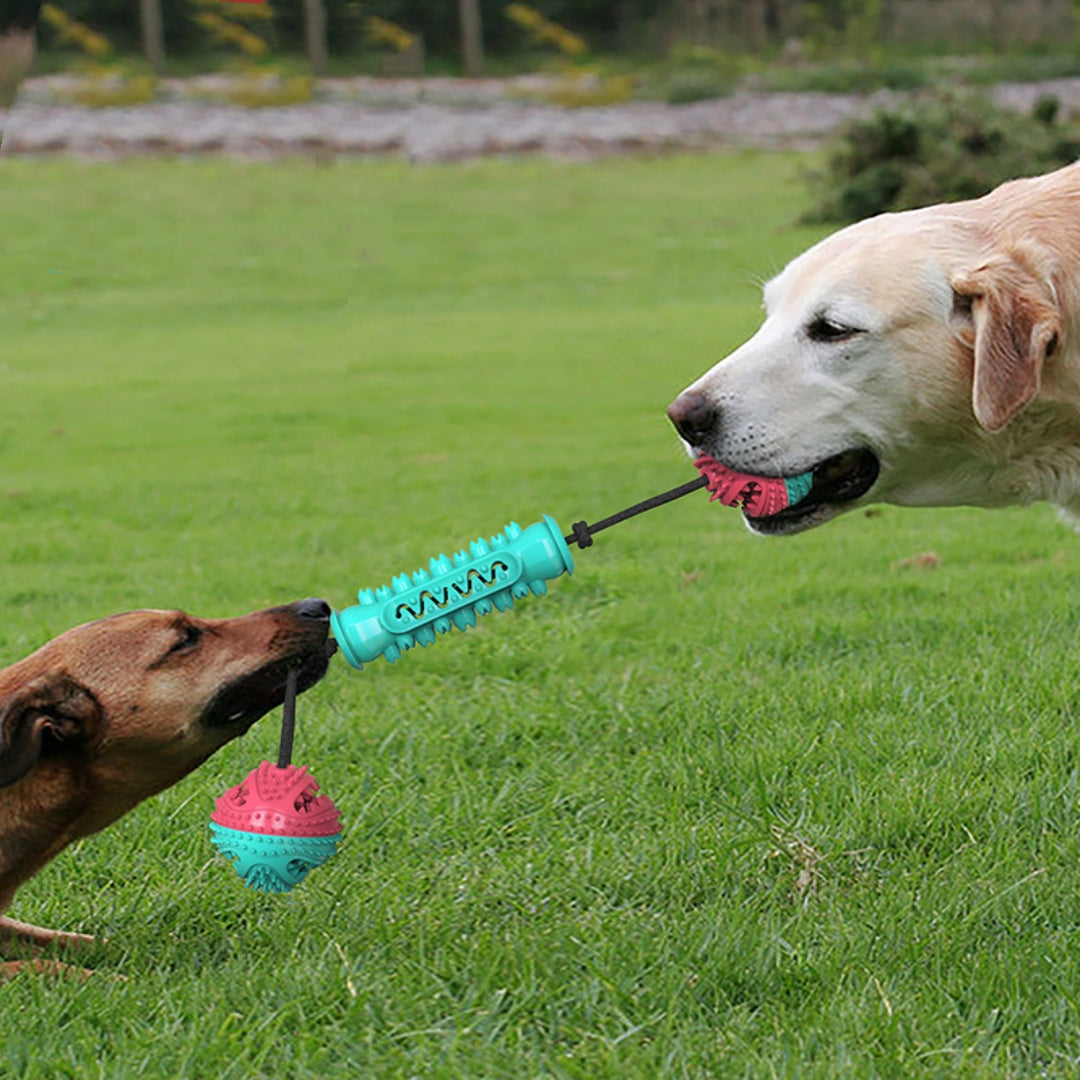 Durable Chew Teeth Cleaning Toy Chew Stick