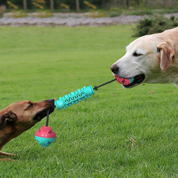 Durable Chew Teeth Cleaning Toy Chew Stick