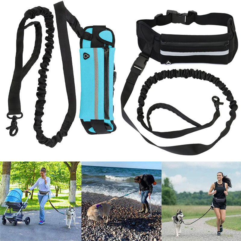 Pet Purse Style Leash Walking