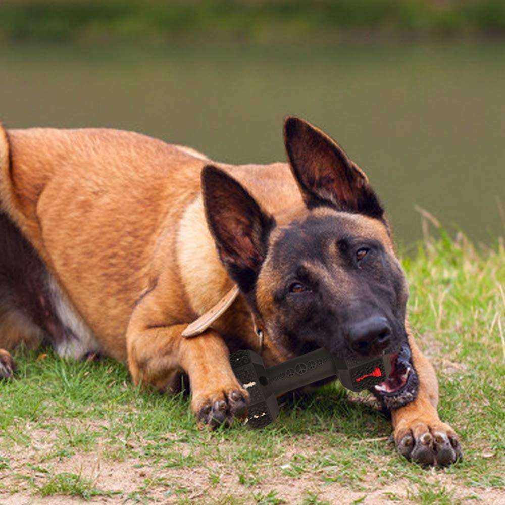 Durable Chew Toys For Aggressive Chewers Food