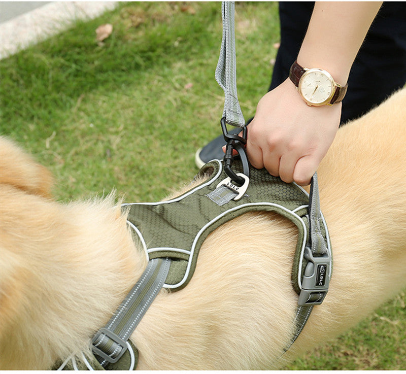 Fluorescent Elastic Retractable Anti Burst Pet Leash