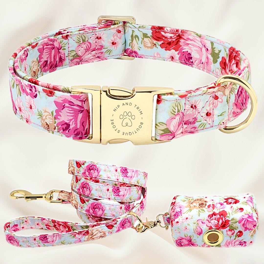 Custom Pet Collar With Engraved Identity Name Tag Card