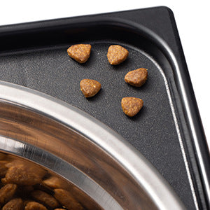Elevated Anti Tumble Pet Feeding Bowl With Neck Protection Stand