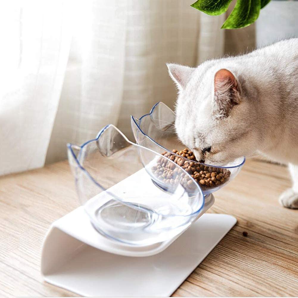 Non Slip Double Bowl Elevated Pet Feeder With Stand