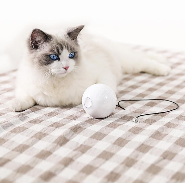 Smart Automatic Interactive Toy Ball