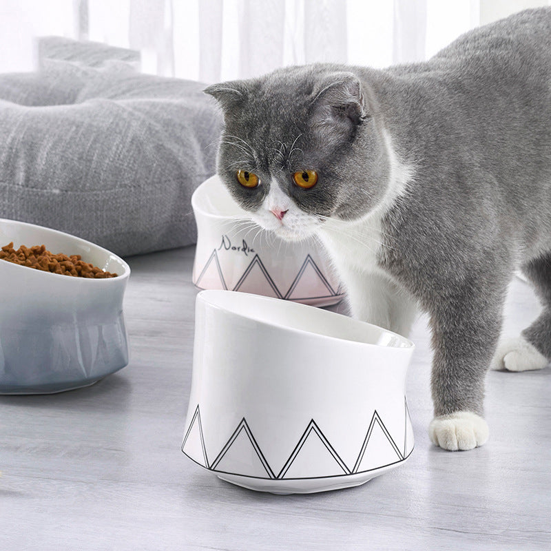 Ceramic Pet Feeding Bowl