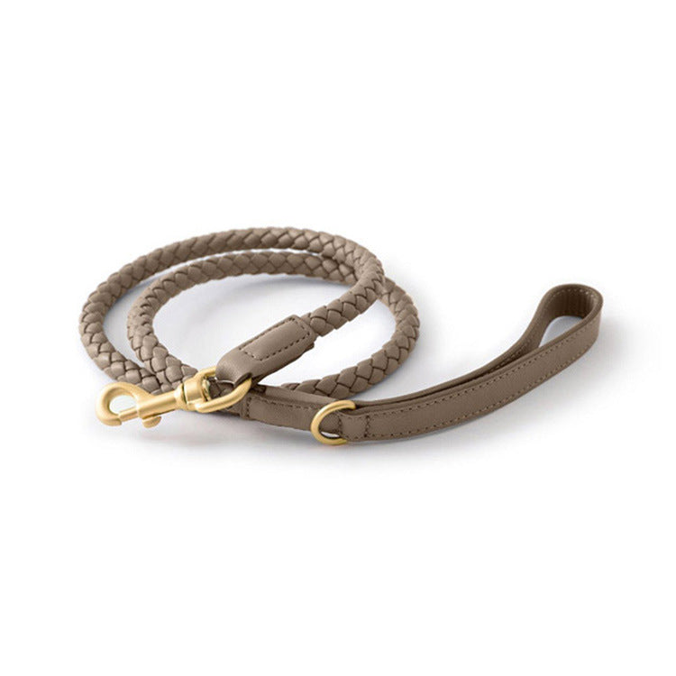Premium Sturdy Large Pet Collar