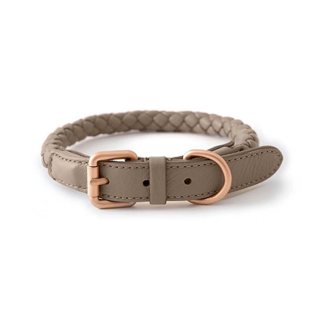 Premium Sturdy Large Pet Collar