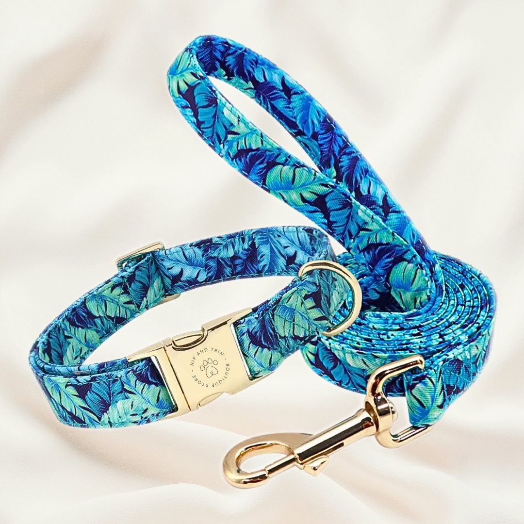 Custom Pet Collar With Engraved Identity Name Tag Card