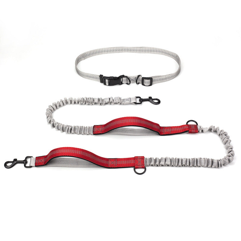 Outdoor Running Pet Leash For Active Walking