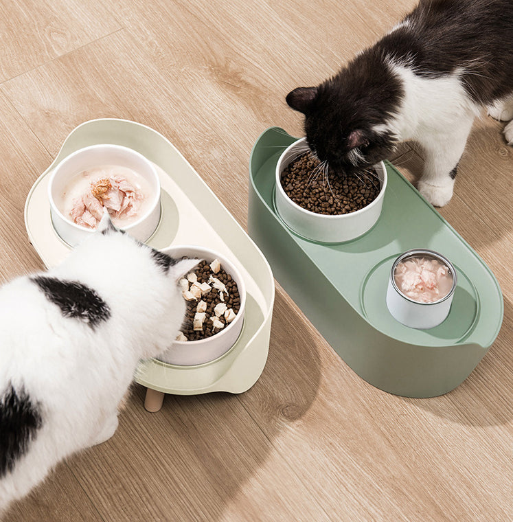 Adjustable Tilted Double Bowl Spill Proof Pet Feeding Dish
