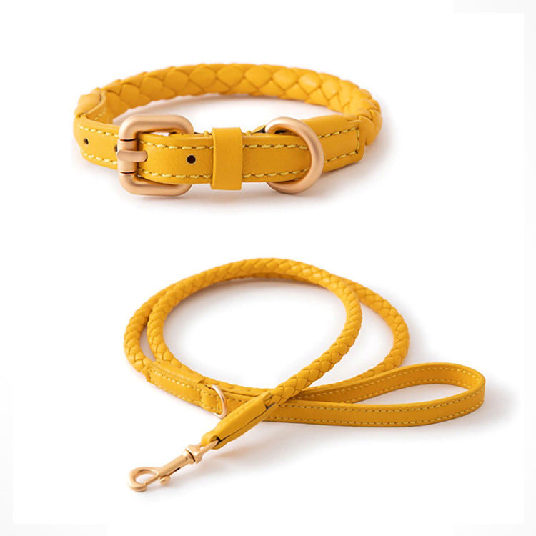 Premium Sturdy Large Pet Collar