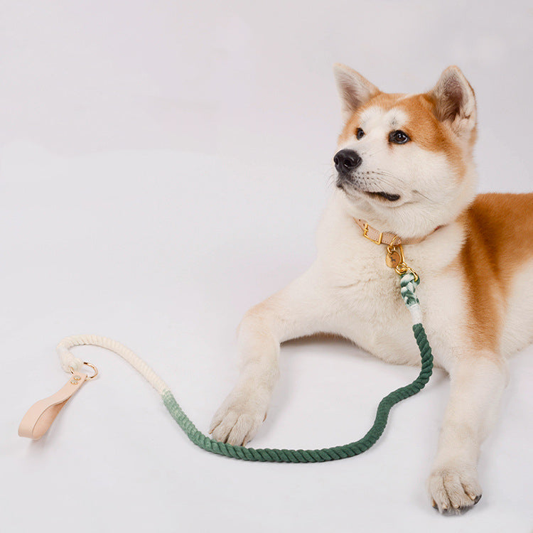 Rainbow Gradient Pet Traction Rope Leash
