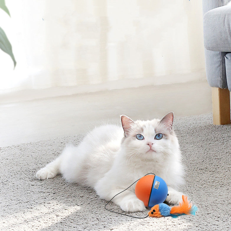 Automatic Tease Toy Ball Intelligent Grinding Teeth