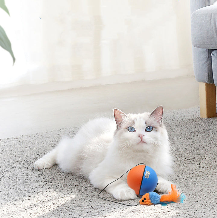 Automatic Tease Toy Ball Intelligent Grinding Teeth