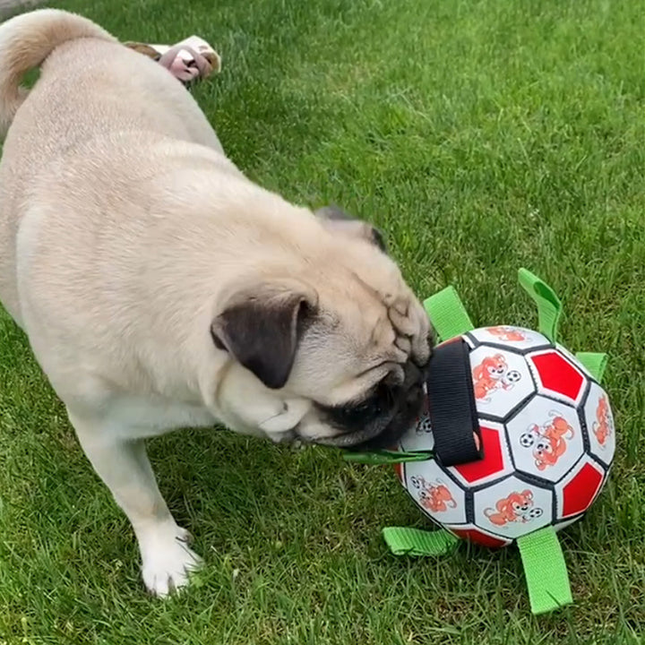 Football Bite-resistant Molar Bite-resistant Toy