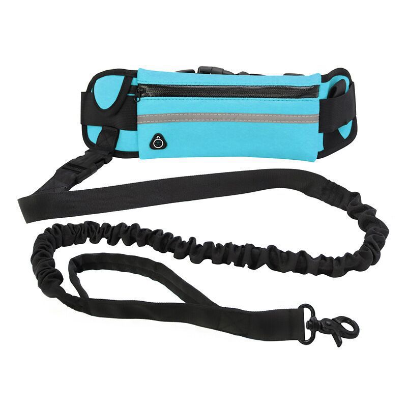 Pet Purse Style Leash Walking