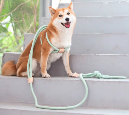 Multi Functional Pet Chest Harness With Anti Burst Leash