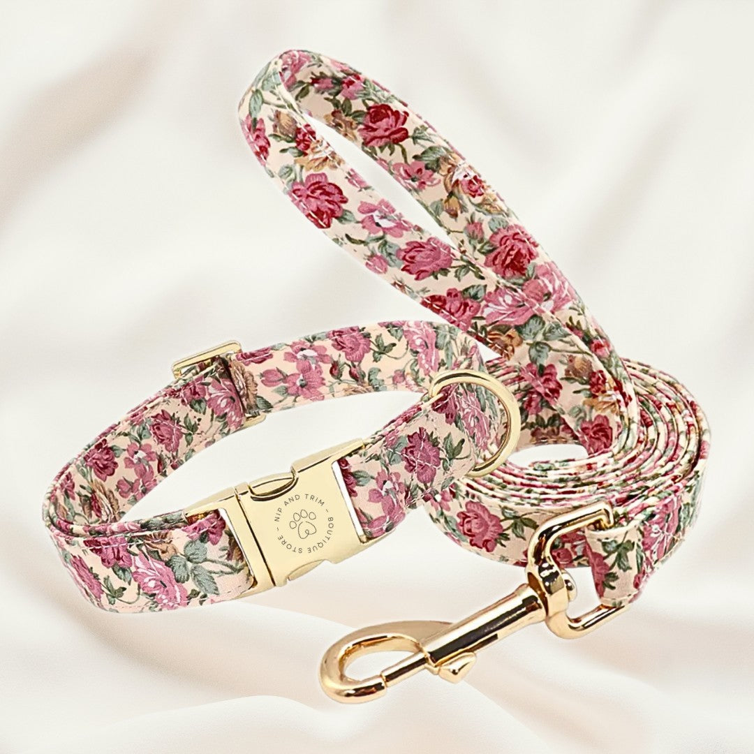 Custom Pet Collar With Engraved Identity Name Tag Card