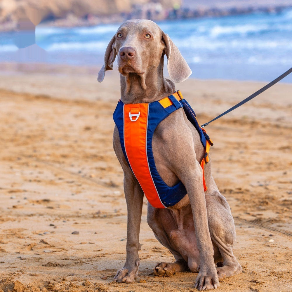 Vest Style Pet Chest Harness With Hand Rope