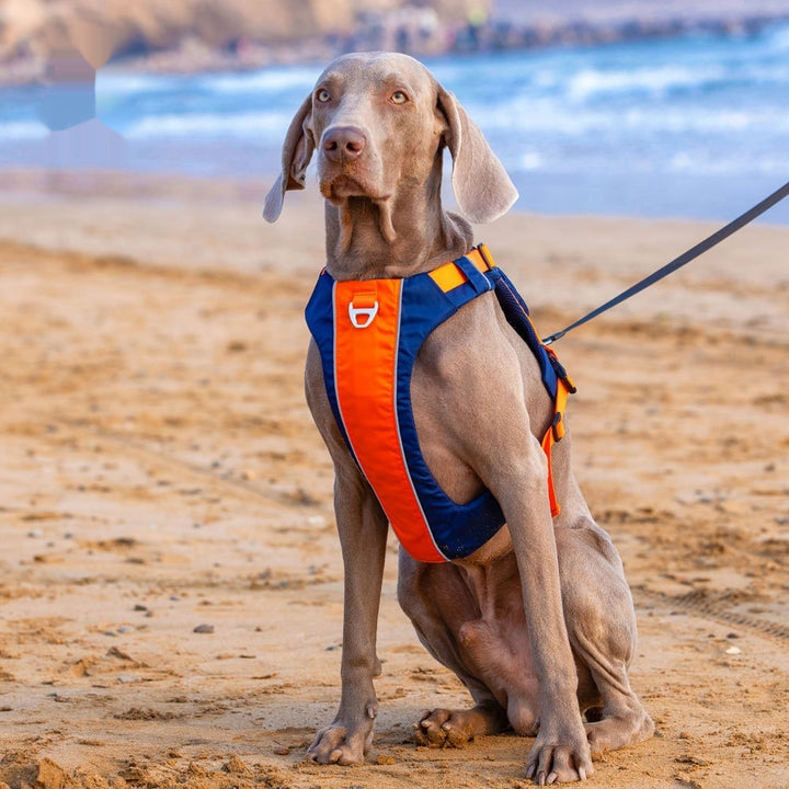 Vest Style Pet Chest Harness With Hand Rope