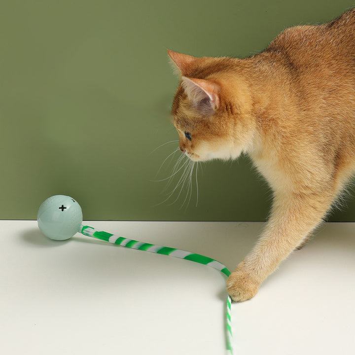 Toys Interactive Electric Balls Pet Toy Motion Activate Ball Toy