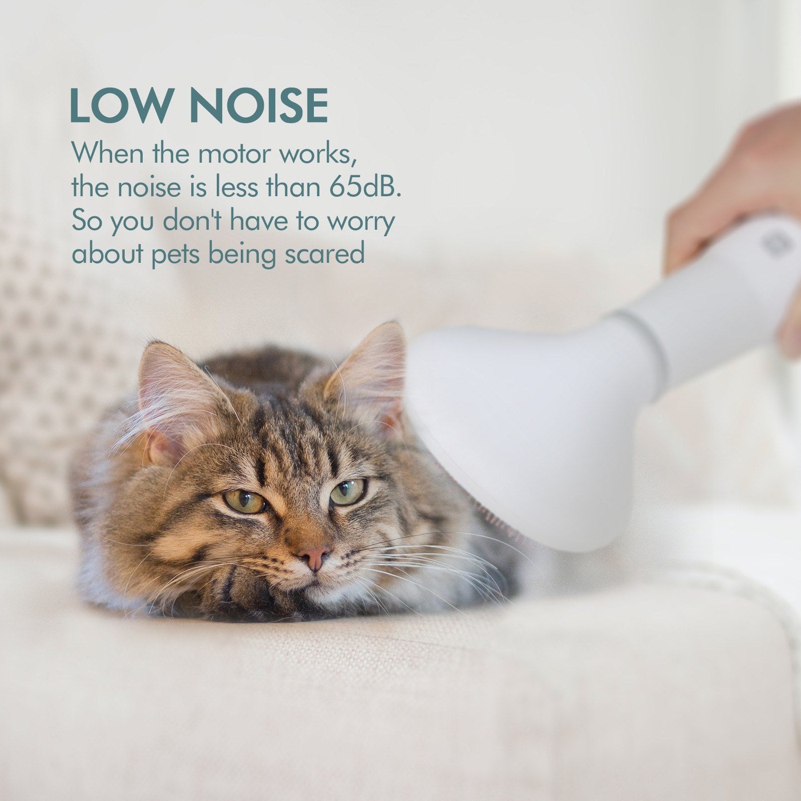 Dadypet Pet  Hair Dryer Grooming Dryer Slicker Brush