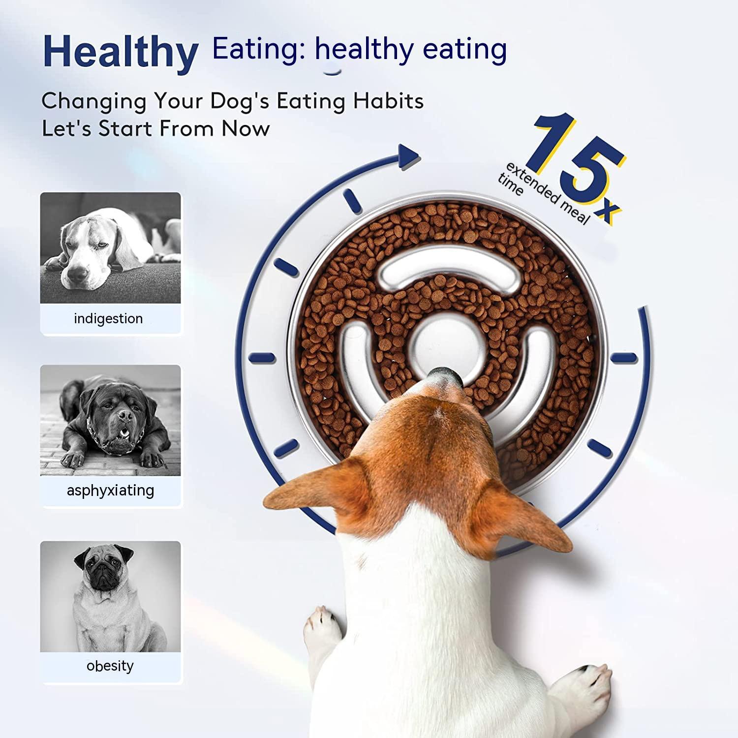 Stainless Steel Slow Feeding Bowl With Neck Protector For Pets