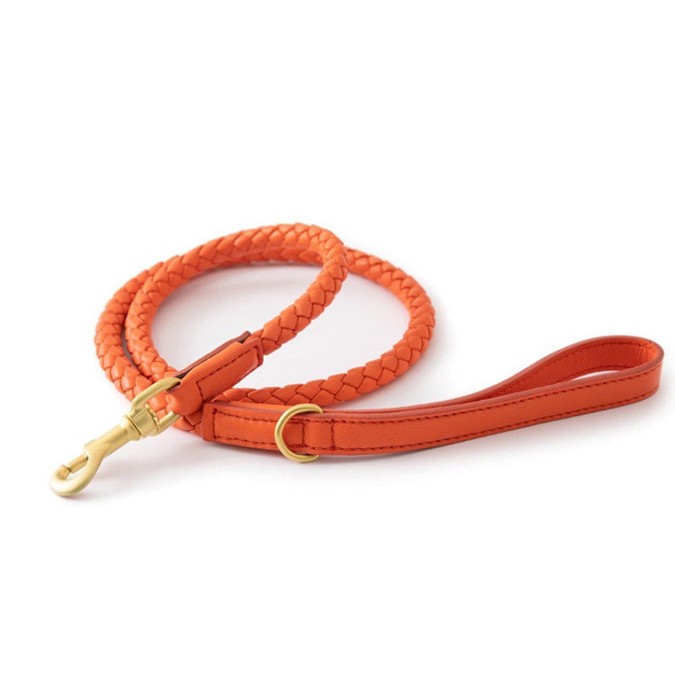 Premium Sturdy Large Pet Collar