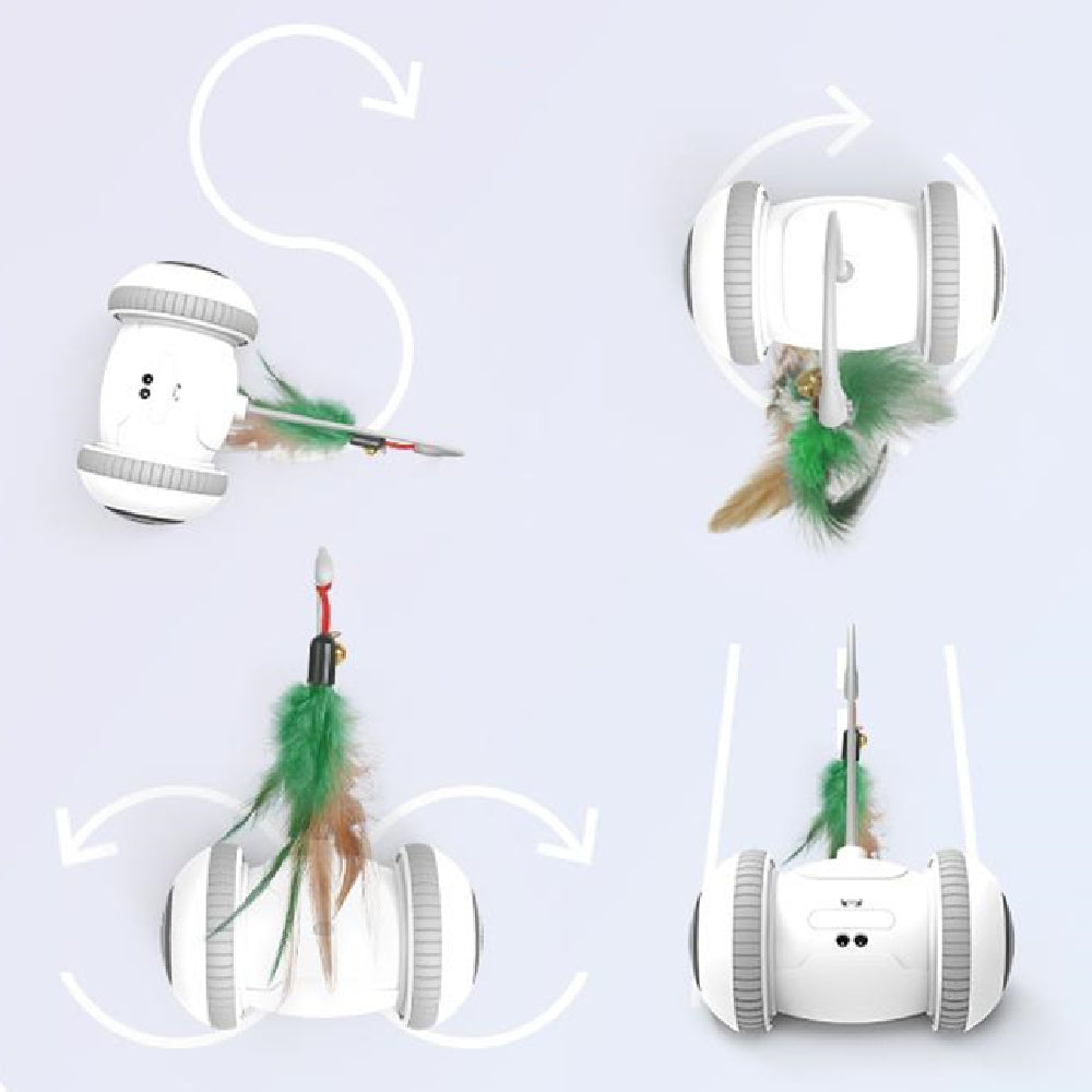 Interactive Toy With Interchangeable Heads  Pet Feather Toys