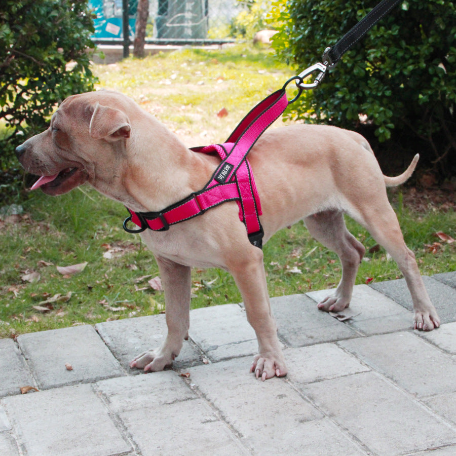 Adjustable Durable Pet Harness And Leash Set For Outdoor Walking