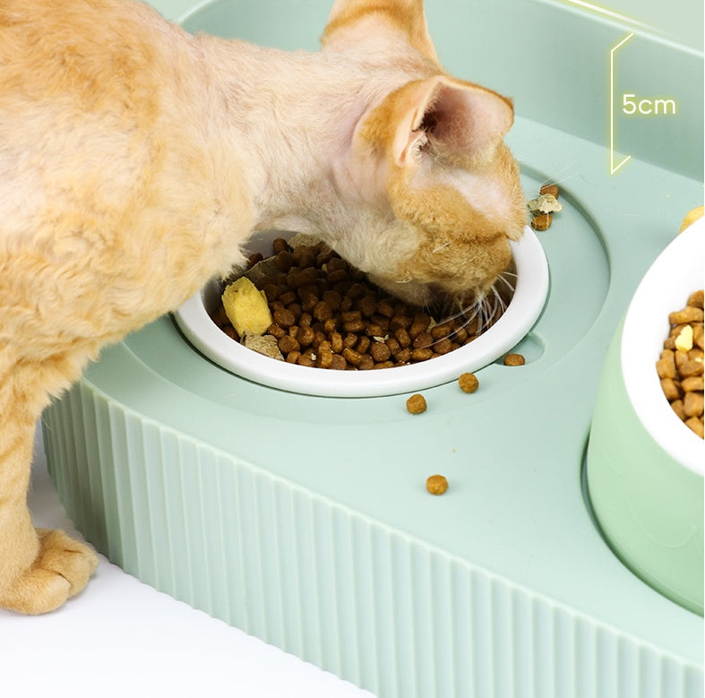 Ceramic Pet Food Bowl With Cervical Spine Protection Design