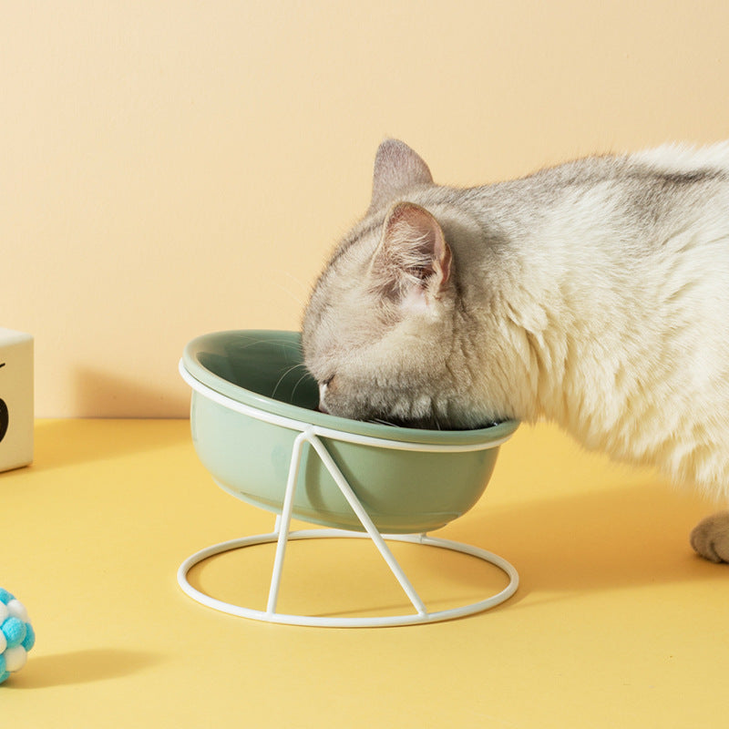 Ceramic Double Pet Feeding Bowl Set