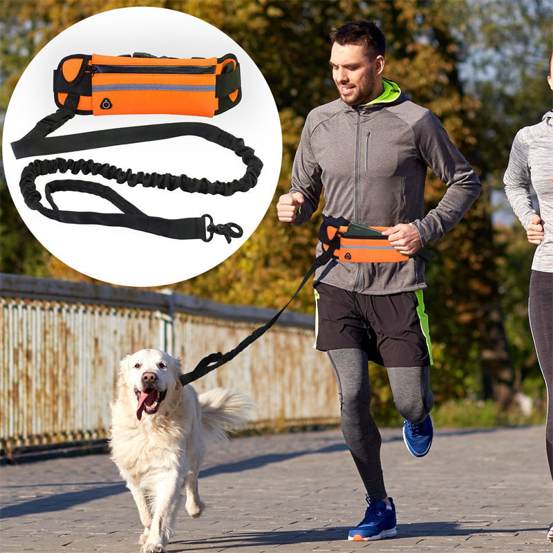 Pet Purse Style Leash Walking