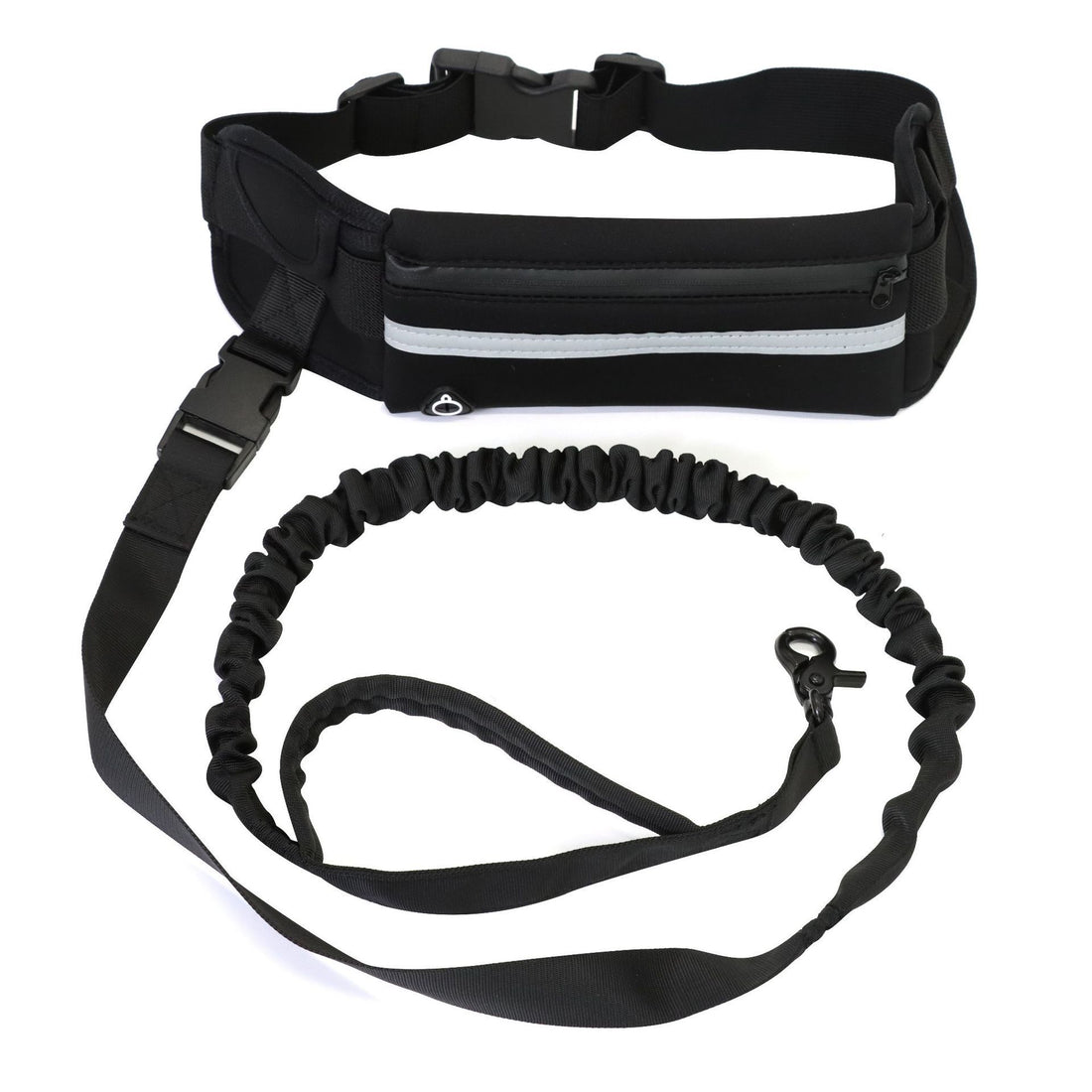 Pet Purse Style Leash Walking