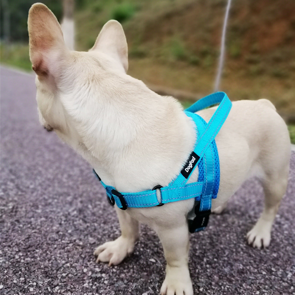Adjustable Durable Pet Harness And Leash Set For Outdoor Walking